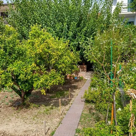 Semesterbostad House Zeljka *